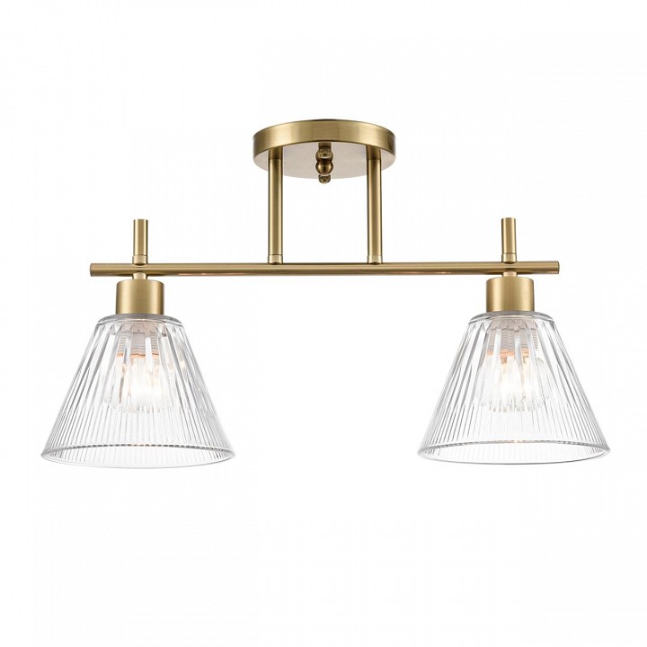 Светильник на штанге lumion vivian 8188/2c