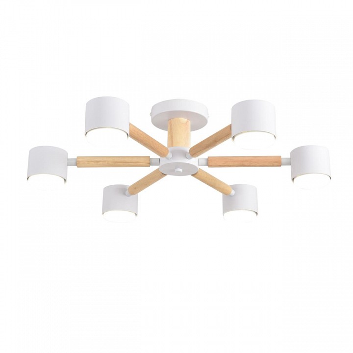 Люстра на штанге lumion vudi 8306/6c