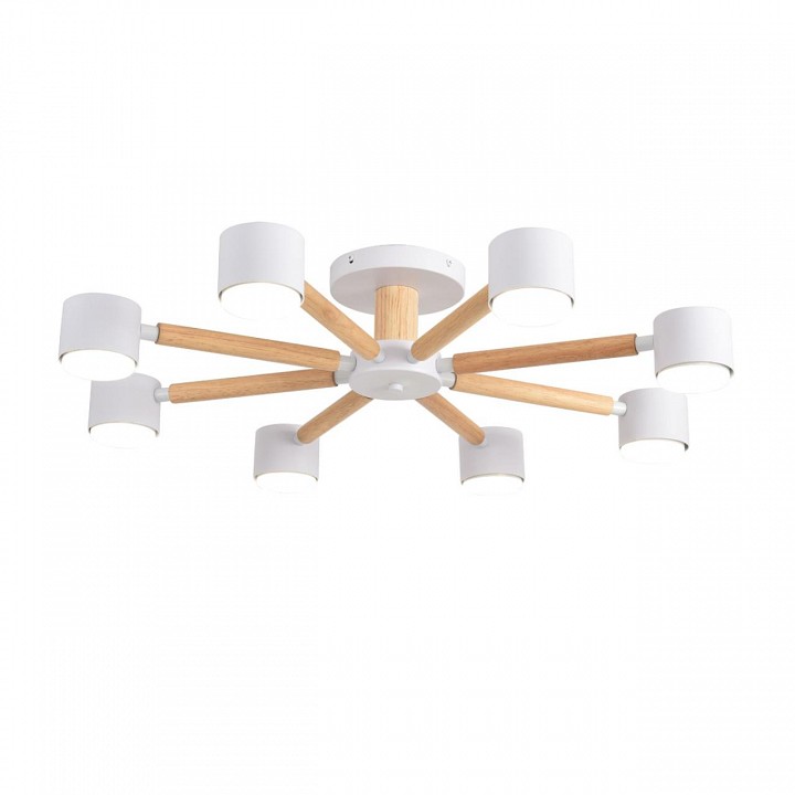 Люстра на штанге lumion vudi 8306/8c