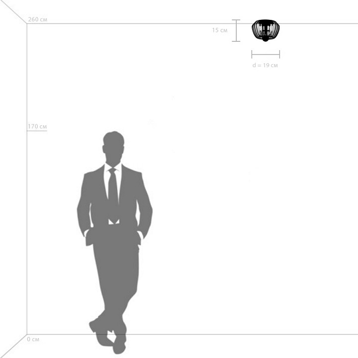 Накладной светильник lightstar celesta 809002