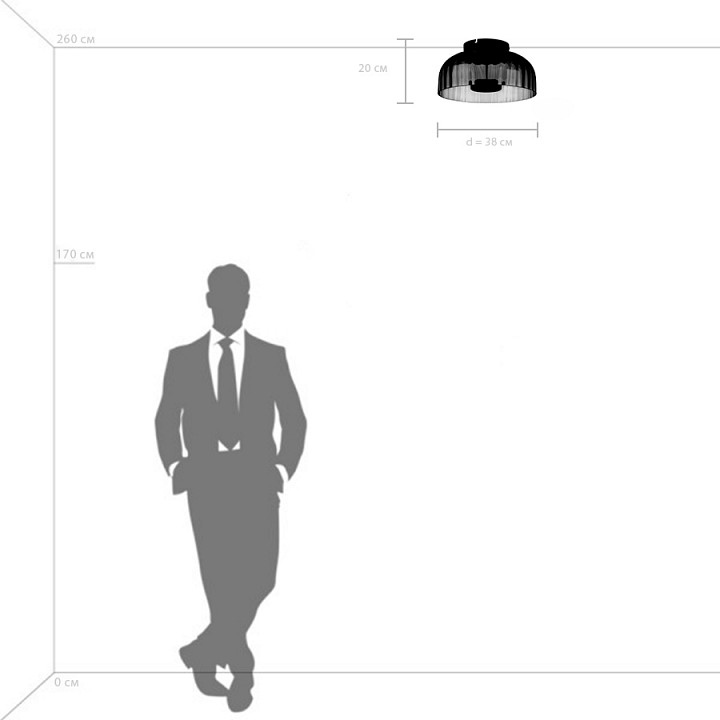 Накладной светильник lightstar celesta 809061