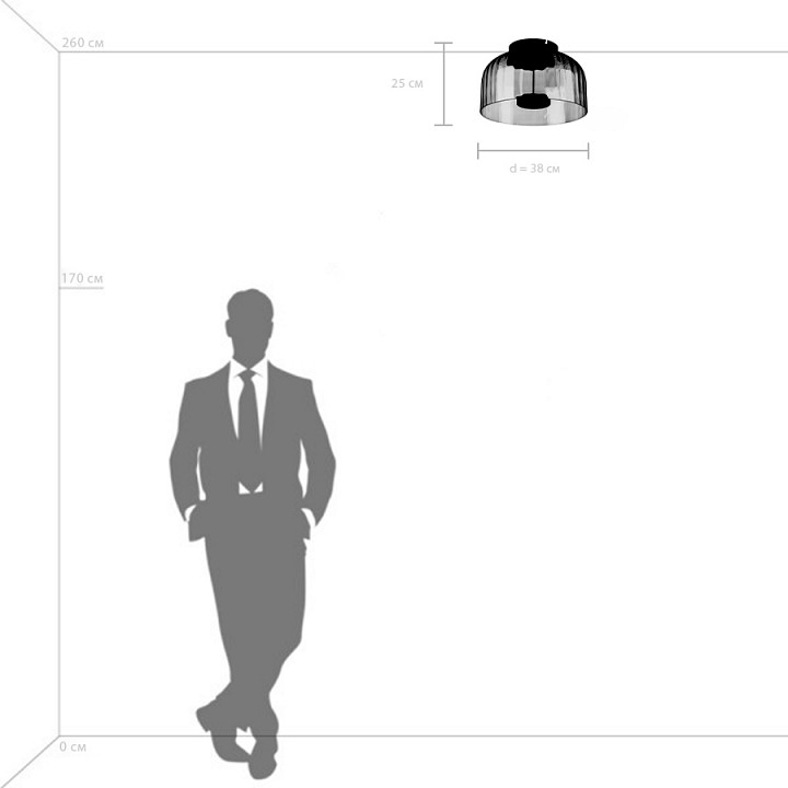 Накладной светильник lightstar celesta 809062