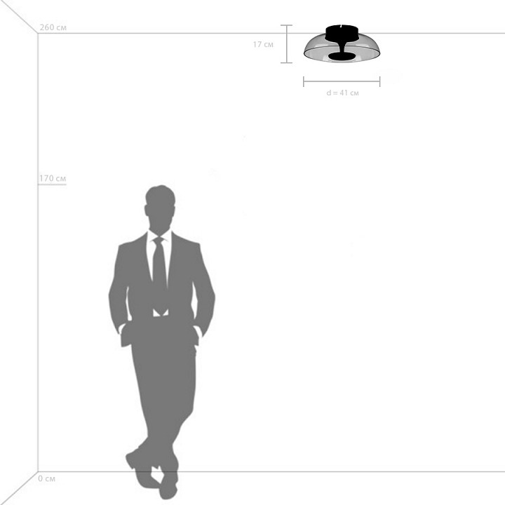 Накладной светильник lightstar celesta 809200