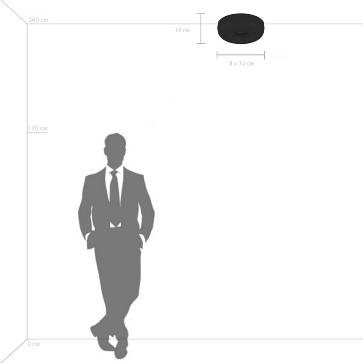 Накладной светильник lightstar celesta 809316