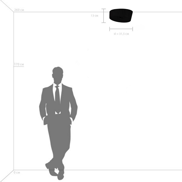 Накладной светильник lightstar celesta 809356