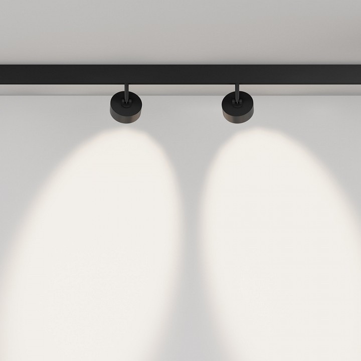 Светильник на штанге maytoni technical lens tr217-2-15w4k-b