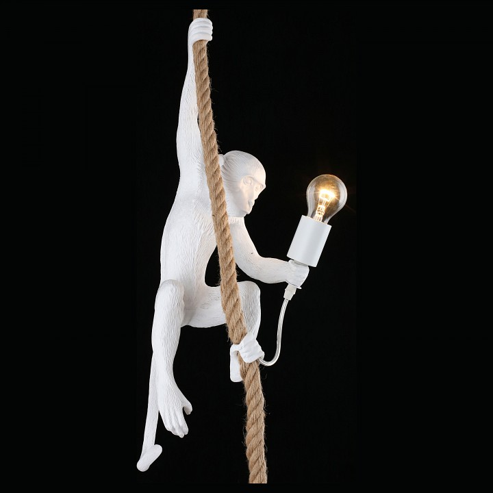 Подвесной светильник aployt magali apl.309.06.01