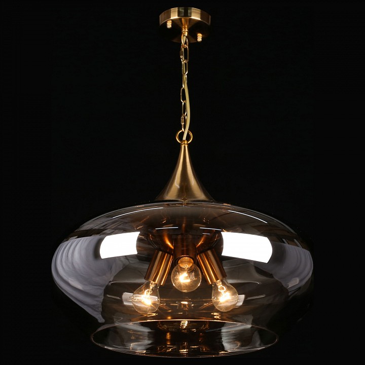 Подвесной светильник aployt franko apl.601.16.03