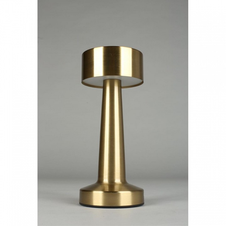 Настольная лампа декоративная aployt perrayn apl.671.04.01