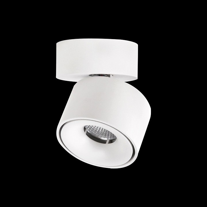 Спот citilux стамп cl558010n