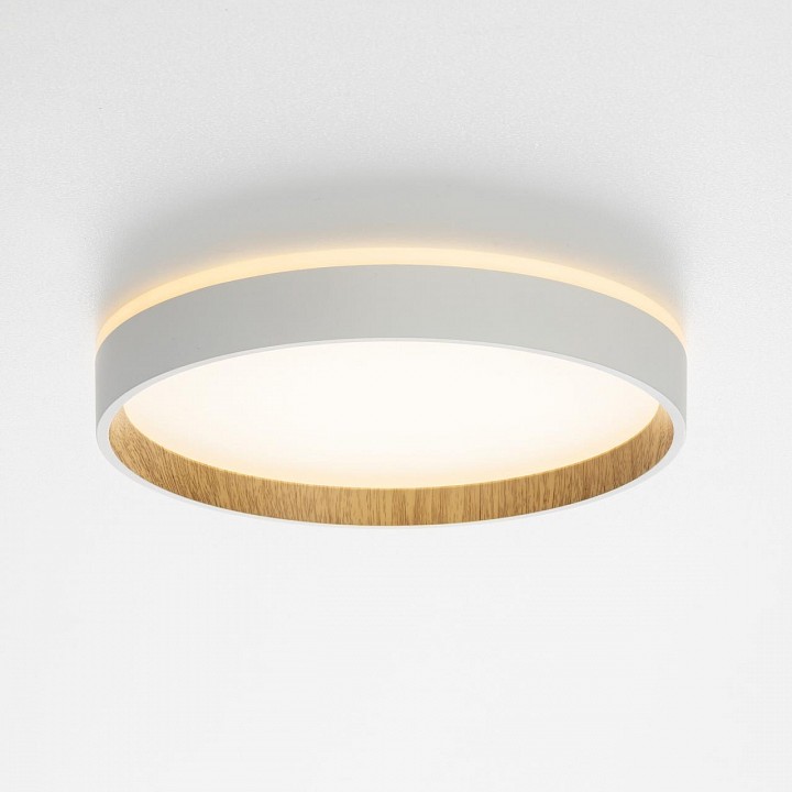 Накладной светильник citilux etalon cl750240