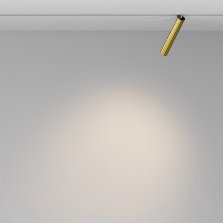 Светильник на штанге maytoni technical focus t tr141-2-6w3k-m-bs