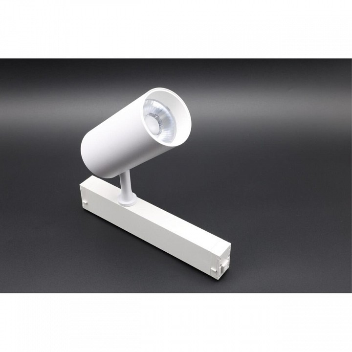 Светильник на штанге aployt magnetic track 220 apl.0205.10.20