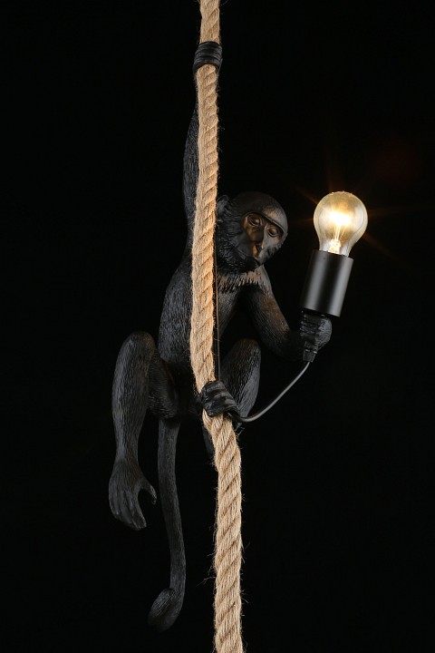 Подвесной светильник aployt magali apl.309.16.01