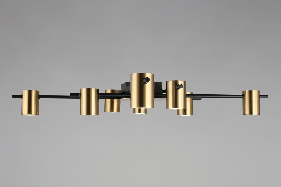 Потолочная люстра aployt elwisia apl.633.07.08