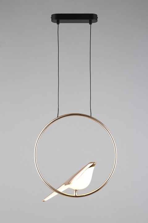 Подвесной светильник aployt astor apl.822.06.10