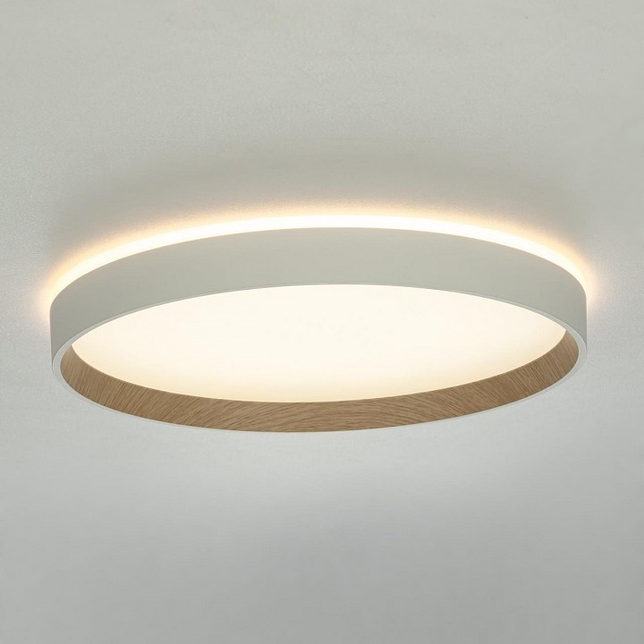 Накладной светильник citilux etalon cl750320r