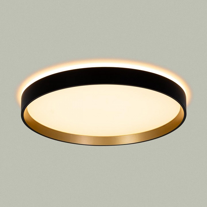 Накладной светильник citilux etalon cl750321r