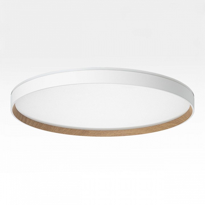 Накладной светильник citilux etalon cl750500r