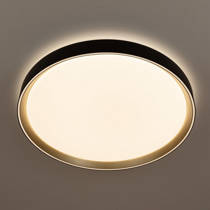 Накладной светильник citilux boss cl751451g
