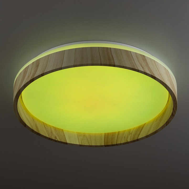 Накладной светильник citilux enzo cl753352g