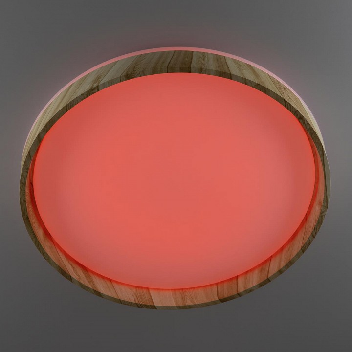 Накладной светильник citilux enzo cl753452g