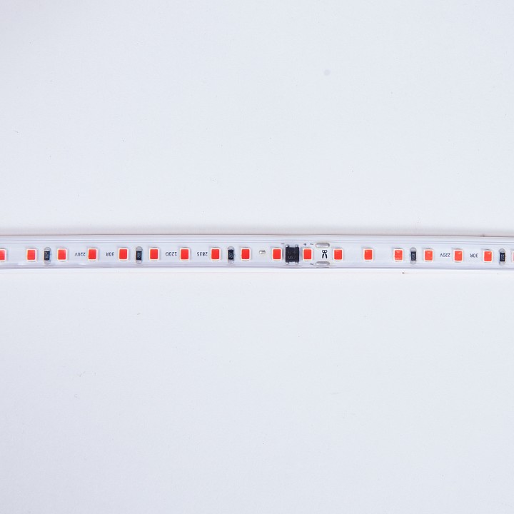 Лента светодиодная eleganz  el-220r