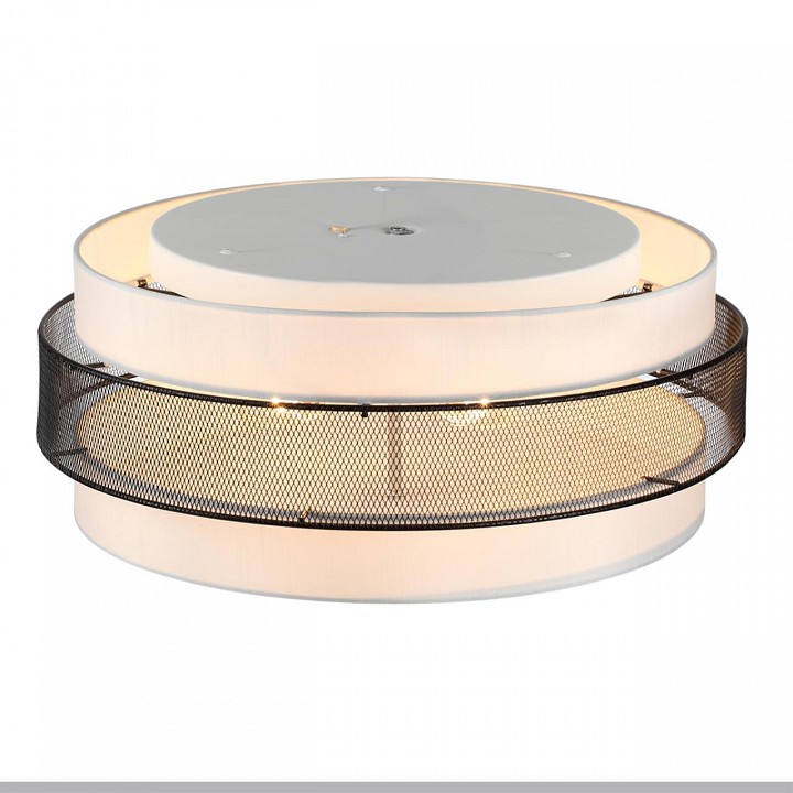 Накладной светильник lumion animaisa 8002/6c