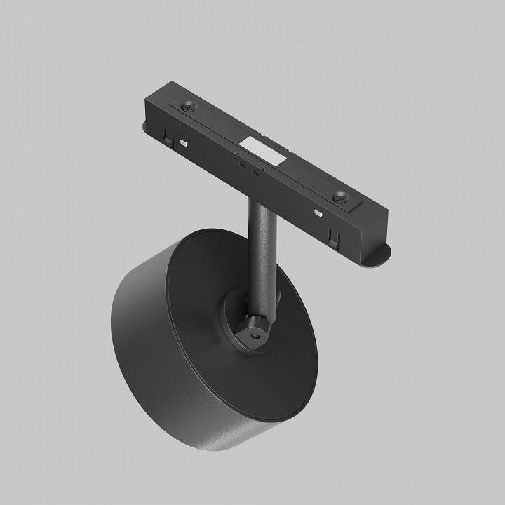 Светильник на штанге maytoni technical lens tr217-2-15w4k-b