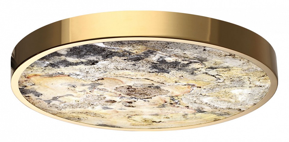 Накладной светильник odeon light bergi 5079/40l