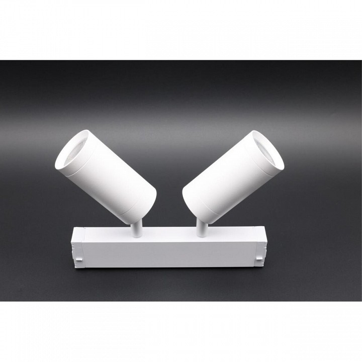 Светильник на штанге aployt magnetic track 220 apl.0204.10.18