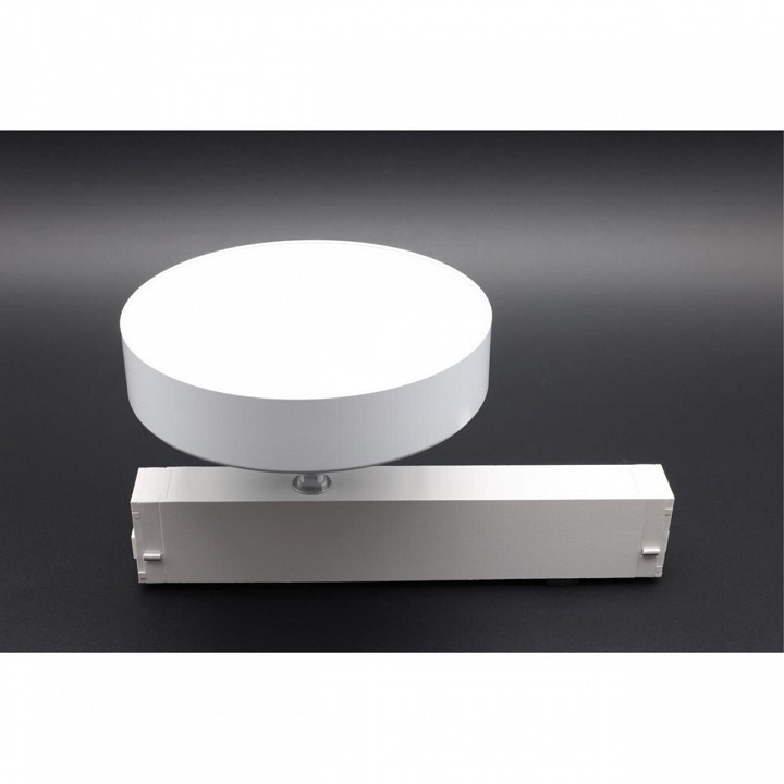 Светильник на штанге aployt magnetic track 220 apl.0213.10.24