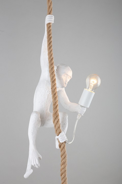 Подвесной светильник aployt magali apl.309.06.01