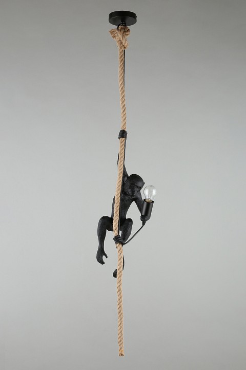 Подвесной светильник aployt magali apl.309.16.01