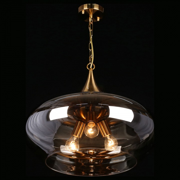 Подвесной светильник aployt franko apl.601.16.03