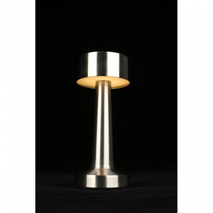 Настольная лампа декоративная aployt perrayn apl.671.14.01