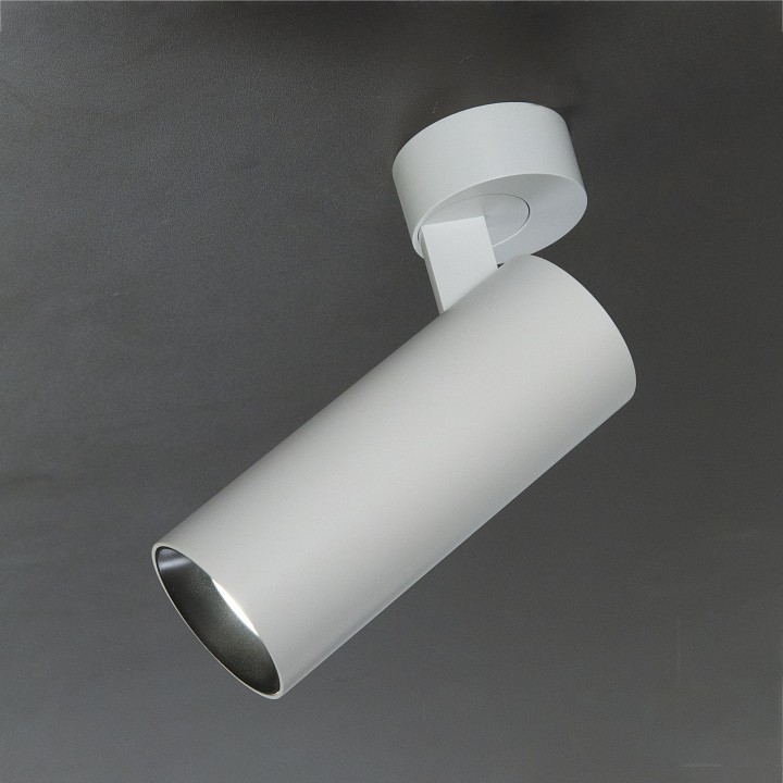 Спот citilux тубус cl01b120n