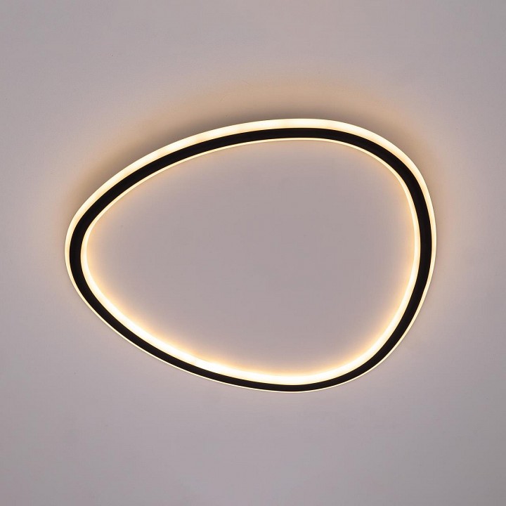 Накладной светильник citilux тrio cl215b251e