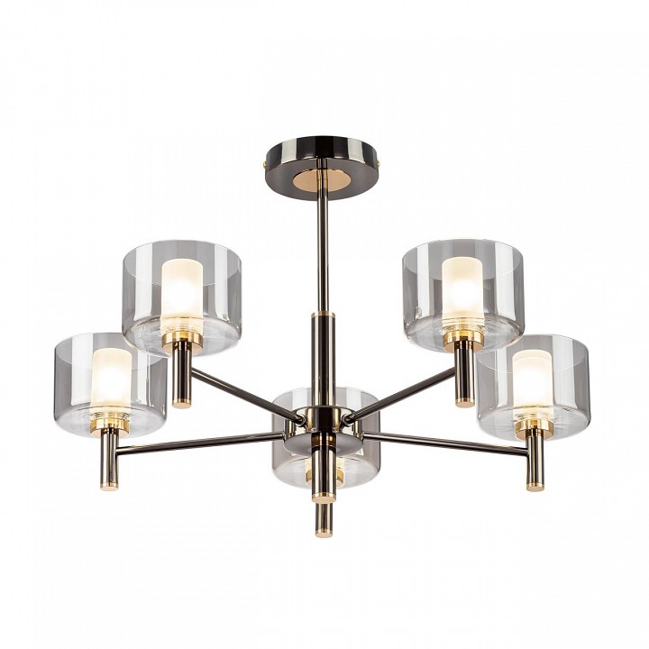 Люстра на штанге citilux elan cl241151