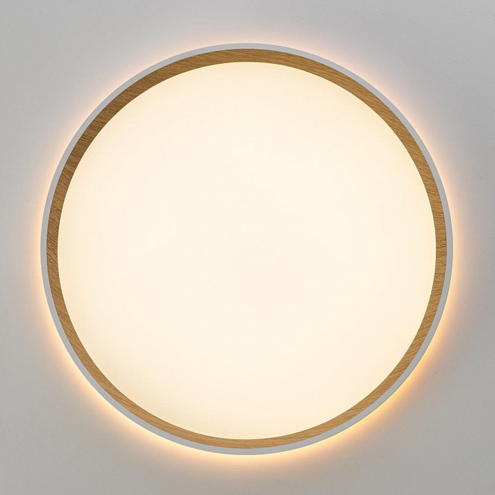 Накладной светильник citilux etalon cl750320r