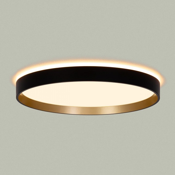 Накладной светильник citilux etalon cl750321r