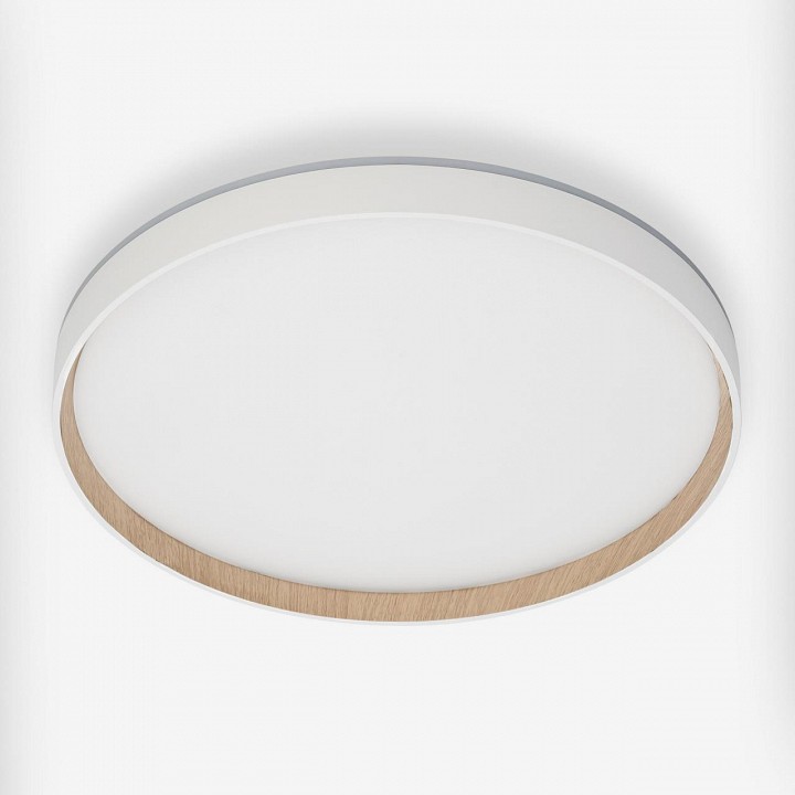 Накладной светильник citilux etalon cl750400r