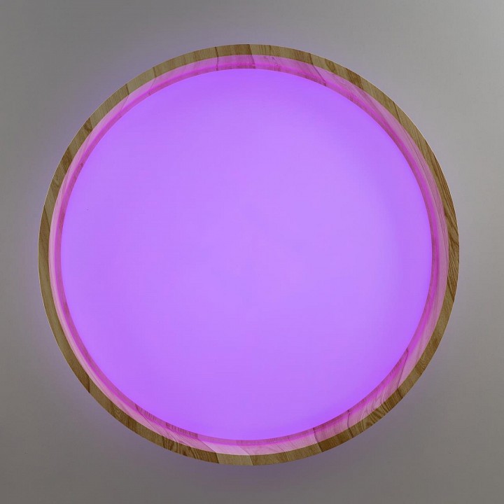 Накладной светильник citilux enzo cl753352g