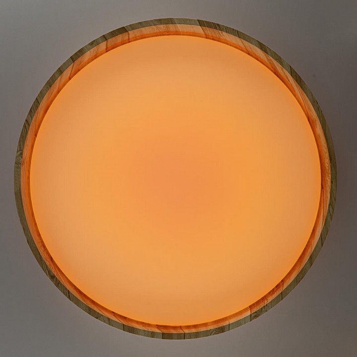 Накладной светильник citilux enzo cl753452g