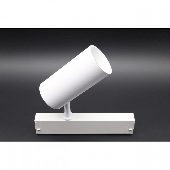 Светильник на штанге aployt magnetic track 220 apl.0205.10.20