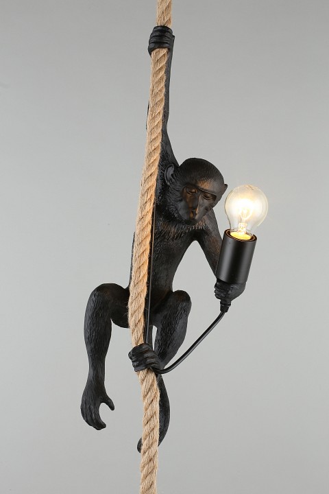 Подвесной светильник aployt magali apl.309.16.01