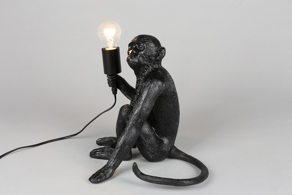 Зверь световой aployt magali apl.309.24.01