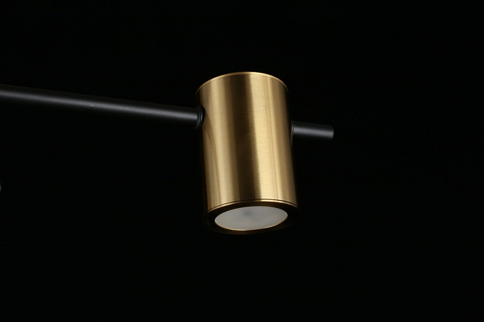 Потолочная люстра aployt elwisia apl.633.07.08