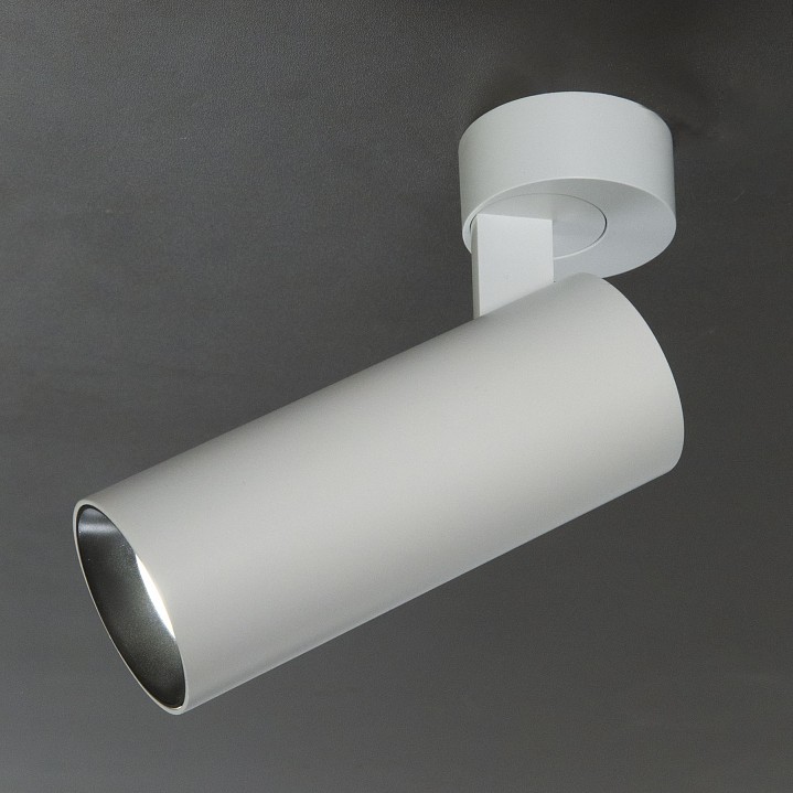 Спот citilux тубус cl01b120n