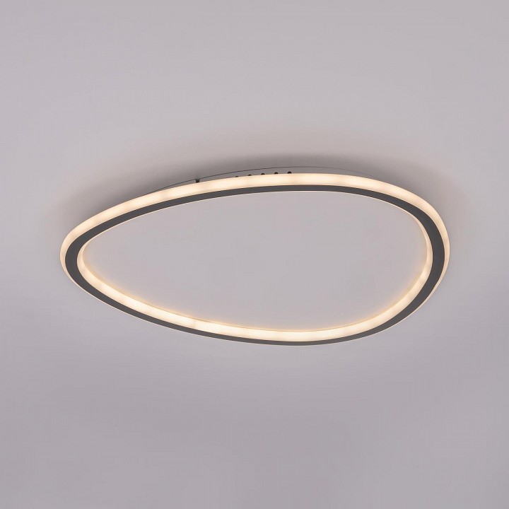 Накладной светильник citilux тrio cl215b251e